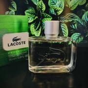 LACOSTE ESSENTIAL- CABALLERO